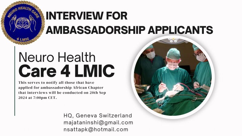 application for ambassador 